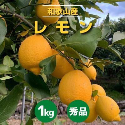 ふるさと納税 由良町 [2027年1月中旬より順次発送]和歌山県産 レモン 約1kg サイズ混合