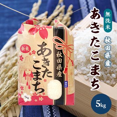ふるさと納税 八郎潟町 あきたこまち 5kg[精米・無洗米]令和7年産 秋田県産 こまちライン