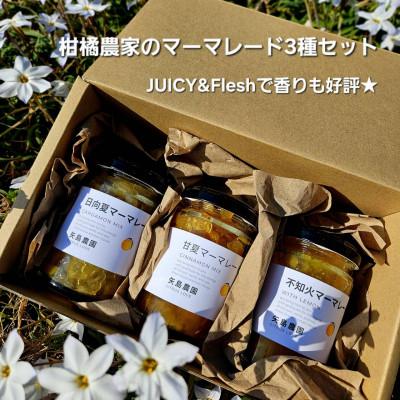 ふるさと納税 真鶴町 ジューシー&amp;フレッシュで香り好評!相模湾を望む畑より柑橘農家の身体に優しいマーマレード3種セット!