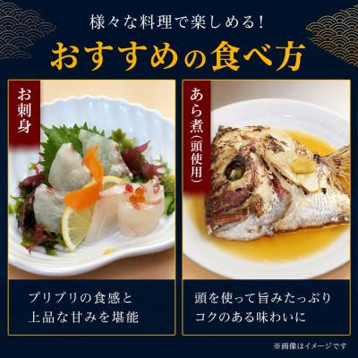 ふるさと納税 今治市 みかんの風味が詰まった愛媛県の公認ブランド 「みかん愛たい」食べ尽くしセット |  | 03
