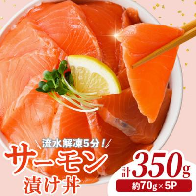 ふるさと納税 門川町 サーモン漬け丼(70g×5P)(門川町)