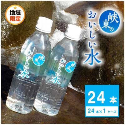 ふるさと納税 甲州市 峡東のおいしい水 500ml×24本