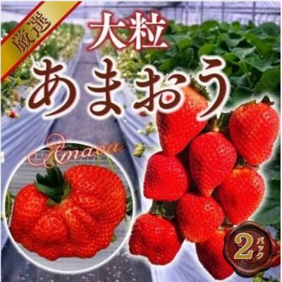 ふるさと納税 宇美町 [2027年2月より順次発送]大粒あまおう 2パック (宇美町)