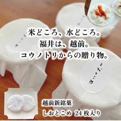 ふるさと納税 越前市 [米のお煎餅]越前新銘菓 しおとこめ 24枚入り