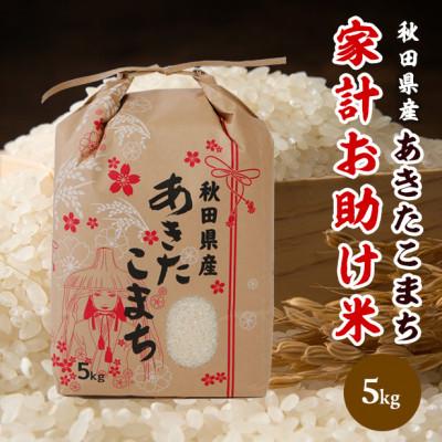 ふるさと納税 八郎潟町 あきたこまち 家計お助け米 5kg[白米]令和7年産 秋田県産 こまちライン