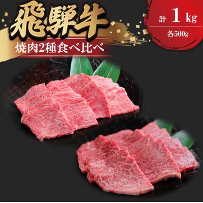 ふるさと納税 瑞穂市 飛騨牛 焼肉2種食べ比べ(上焼肉500g、赤身焼肉500g)