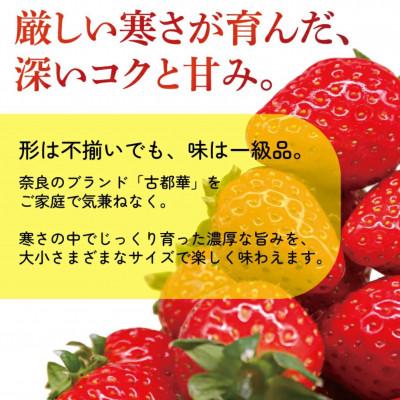 ふるさと納税 奈良市 【先行受付】2027年(令和9年)1月以降順次発送 厳選古都華いちご(270g×4P) drm001 |  | 01
