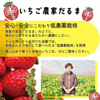 ふるさと納税 奈良市 【先行受付】2027年(令和9年)1月以降順次発送 厳選古都華いちご(270g×4P) drm001 |  | 02