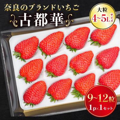 ふるさと納税 奈良市 奈良のブランドいちご 古都華 1パック×1セット 大粒(4L〜5Lサイズ)