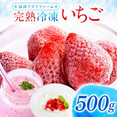 ふるさと納税 富津市 冷凍完熟いちご 500g 富津アクアファーム