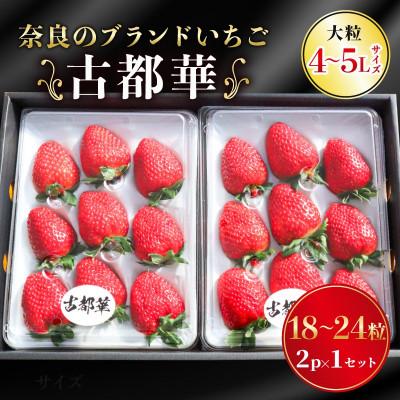 ふるさと納税 奈良市 奈良のブランドいちご 古都華 2パック×1セット 大粒(4L〜5Lサイズ)