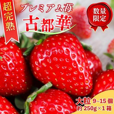 ふるさと納税 奈良市 古都華 1箱 (大粒サイズ+L〜2Lセット) [2027年1月〜順次発送] 15-068