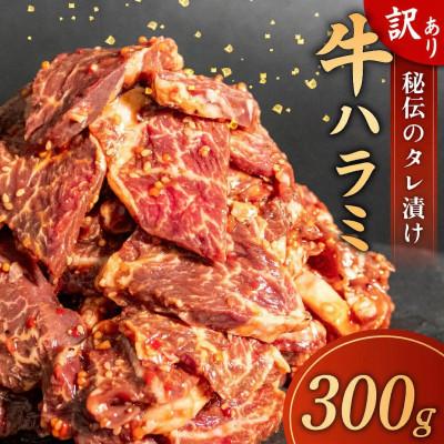 ふるさと納税 須崎市 高知県 須崎市 牛ハラミ味付け300g 須崎の恵み