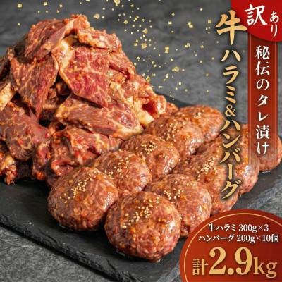 ふるさと納税 須崎市 高知県 須崎市 味付け牛ハラミ900g+ハンバーグ10個セット 須崎の恵み