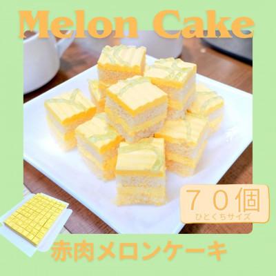 ふるさと納税 横須賀市 メロンの風味広がる「赤肉メロンのケーキ」