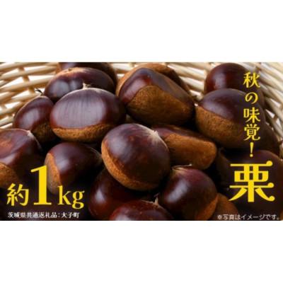 ふるさと納税 牛久市 栗 1kg [2026年9月上旬発送開始]