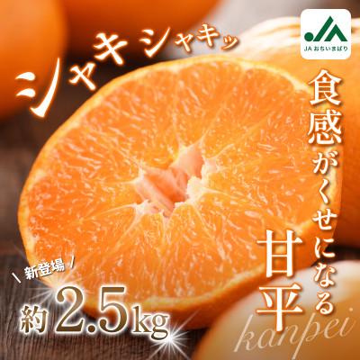 ふるさと納税 今治市 [先行予約]甘平 2.5kg 家庭用 高級柑橘 甘い 小箱 愛媛県オリジナル品種