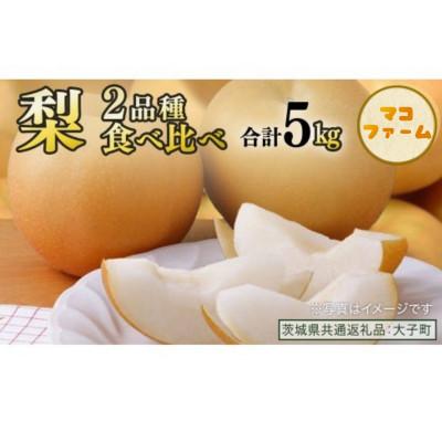 ふるさと納税 牛久市 [食べ比べ] 梨 2品種 合計 約5kg [2026年8月上旬発送開始]