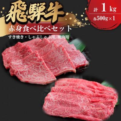 ふるさと納税 瑞穂市 飛騨牛 食べ比べセット(赤身すき焼き・しゃぶしゃぶ用500g、赤身焼肉用500g)