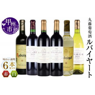 ふるさと納税 甲州市 丸藤葡萄酒 ルバイヤートワイン味わい満喫6本セット