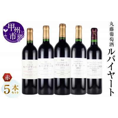 ふるさと納税 甲州市 丸藤葡萄酒 ルバイヤートワイン 赤ワイン5本セット