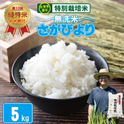ふるさと納税 小城市 令和7年産 特別栽培米 無洗米 さがびより(5kg)[2024 お米番付「優秀賞」!佐賀県認定]