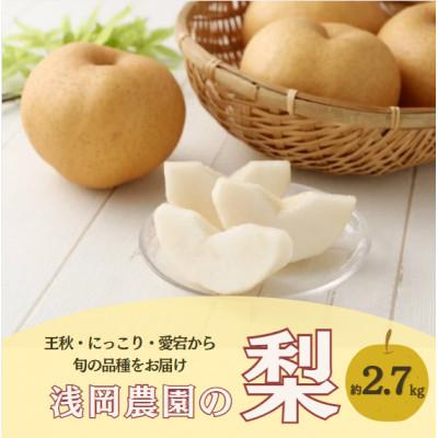ふるさと納税 九重町 [2026年11月下旬より発送予定]浅岡農園の梨 約2.7kg