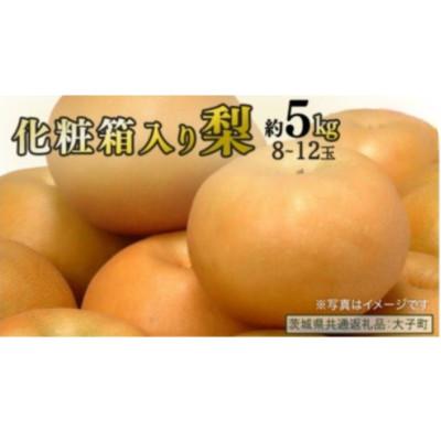 ふるさと納税 牛久市 [化粧箱入り]梨 約5kg (8〜12玉)