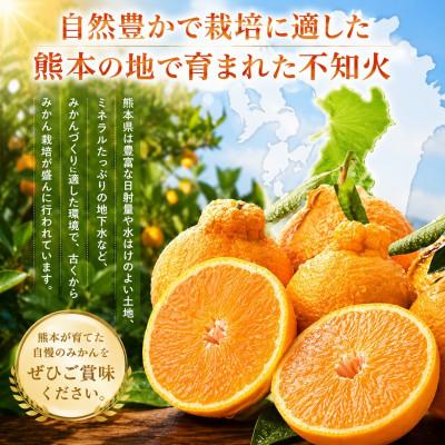 ふるさと納税 玉名市 【先行予約】光センサー 選果! 熊本県産 デコポン 約5kg(玉名市) |  | 02