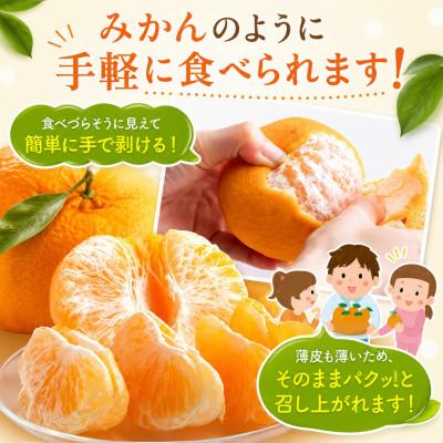ふるさと納税 玉名市 【先行予約】光センサー 選果! 熊本県産 デコポン 約5kg(玉名市) |  | 03