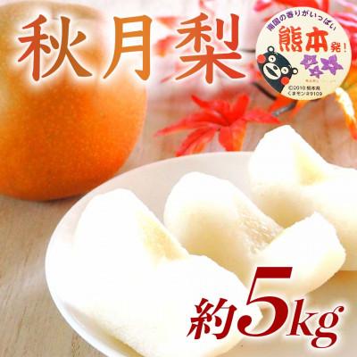 ふるさと納税 長洲町 秋月梨 6〜18玉 約5kg(長洲町)