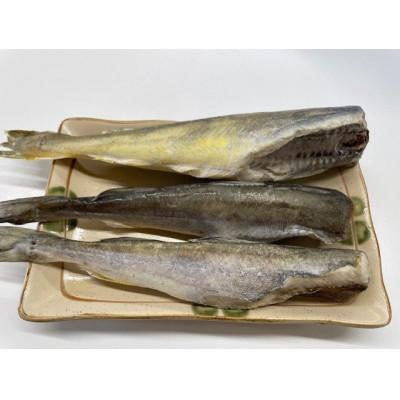 ふるさと納税 厚岸町 [訳あり]北海道産 氷下魚 一夜干し 1kg