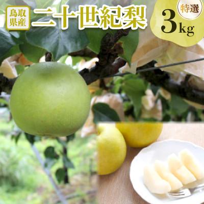 ふるさと納税 日吉津村 二十世紀梨 特選3kg