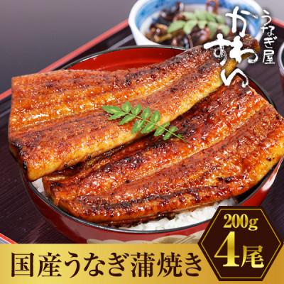 ふるさと納税 有田市 大きい! 国産うなぎ蒲焼4尾セット(総量800g以上)