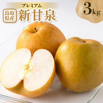 ふるさと納税 日吉津村 プレミアム新甘泉 3kg前後