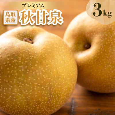 ふるさと納税 日吉津村 プレミアム秋甘泉 3kg前後