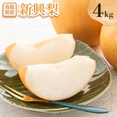 ふるさと納税 日吉津村 新興梨 4kg