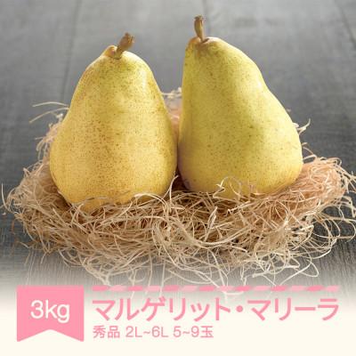 ふるさと納税 村山市 マルゲリット・マリーラ 2L-6L 秀品 3kg
