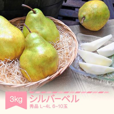 ふるさと納税 村山市 シルバーベル L-4L 秀品 3kg