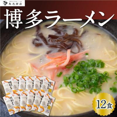 ふるさと納税 うきは市 鳥志商店 博多ラーメン 12食