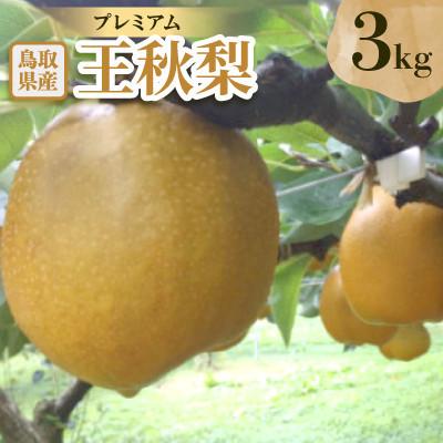 ふるさと納税 日吉津村 プレミアム王秋梨 3kg