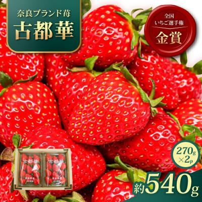ふるさと納税 奈良市 奈良ブランド「古都華」 いちご (270g×2P) 2027年1月〜順次発送 岩井農園 10-268
