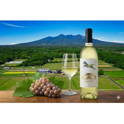 ふるさと納税 韮崎市 甲州 2025 [Etude-2 低温発酵] 750ml×1本