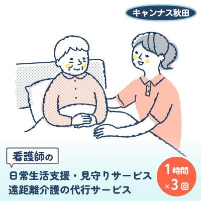 ふるさと納税 八郎潟町 支援 看護師の日常生活支援・見守りサービス 遠距離介護の代行サービス 1時間×3回
