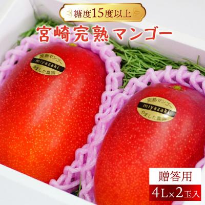ふるさと納税 串間市 糖度15度以上の宮崎完熟マンゴー贈答用(4L×2玉入)×1箱