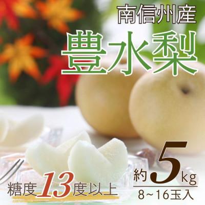 ふるさと納税 豊丘村 [南信州産] 豊水梨 太鼓判・優等生 約5kg(8〜16玉入り)9月中旬から順次発送