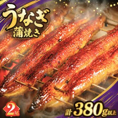 ふるさと納税 都農町 うなぎ 蒲焼 2尾(計約380g)[T026-0065](都農町)