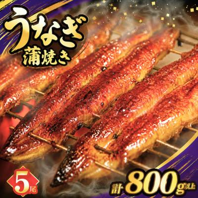 ふるさと納税 都農町 うなぎ 蒲焼 5尾(計約800g)[T026-0036](都農町)