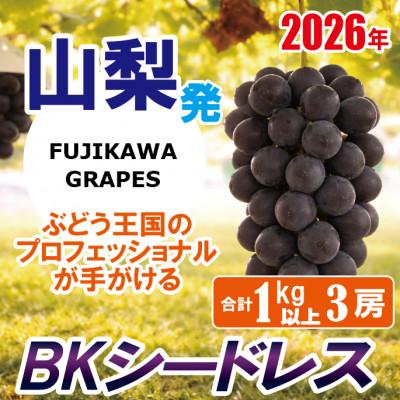 ふるさと納税 富士川町 [秀品以上]上級品/[BKシードレス]/合計1.0kg以上(3房)