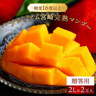 ふるさと納税 串間市 プレミアム宮崎完熟マンゴー贈答用(2L×2玉入)